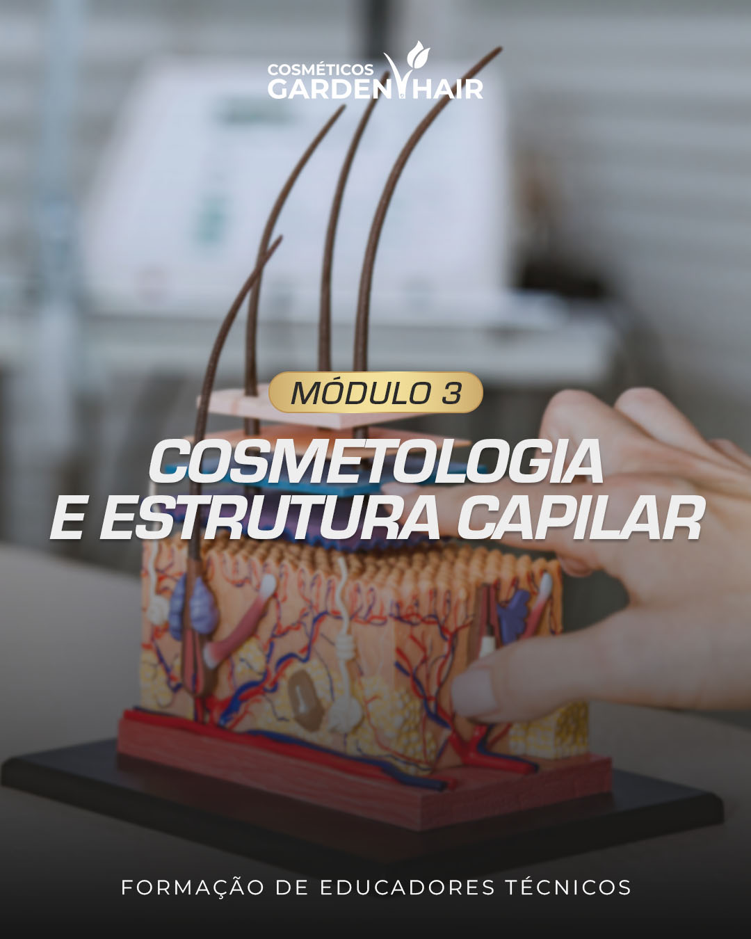 Módulo 3